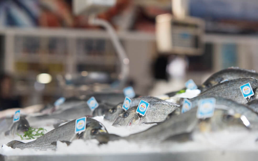 Pescado de nuestros mares: tu aliado perfecto para la vuelta a la rutina