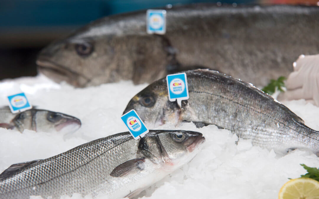 Crianza de Mares y Rios de España, sello líder en notoriedad en pescados frescos para los consumidores españoles