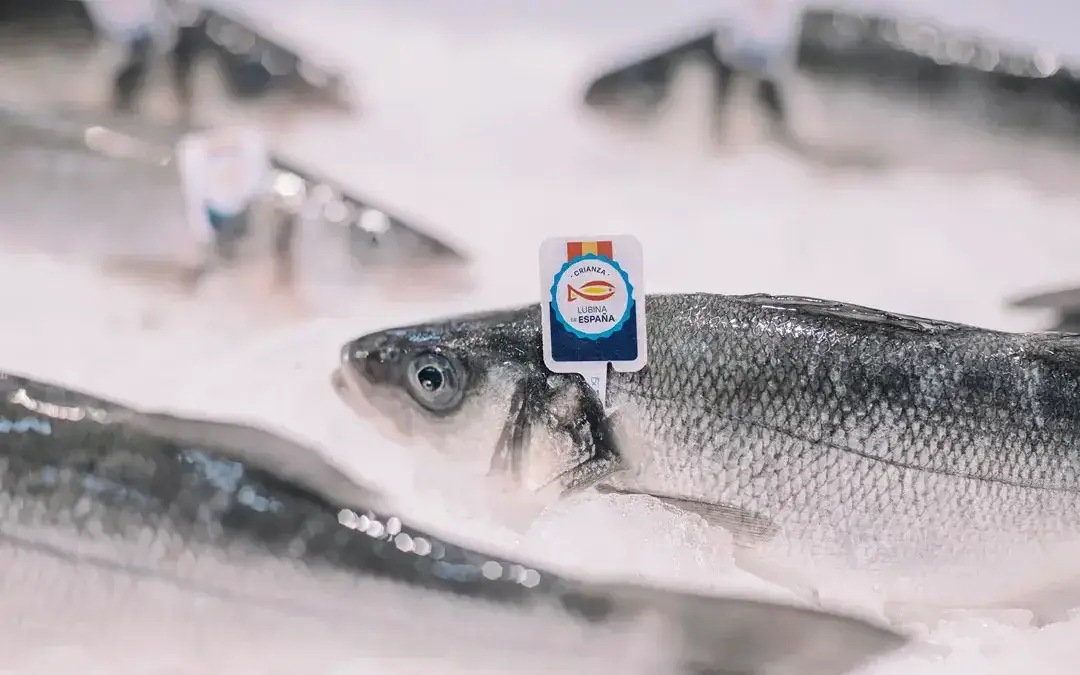 Fuente de proteínas con todo lo bueno del pescado: Crianza de Mares y Rios de España para la puesta a punto veraniega