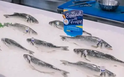 Dorada, lubina, corvina y trucha: la guía definitiva para elegir según la receta