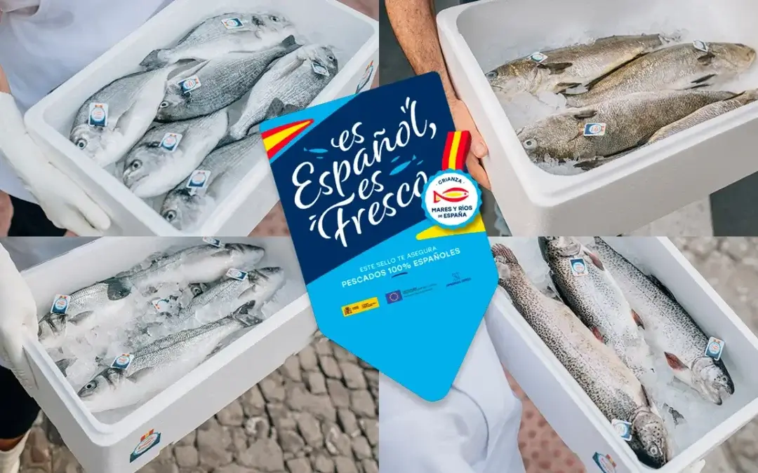 Pescado español, pescado fresco. Por qué consumir pescado de mares y ríos de España es más importante de lo que crees.