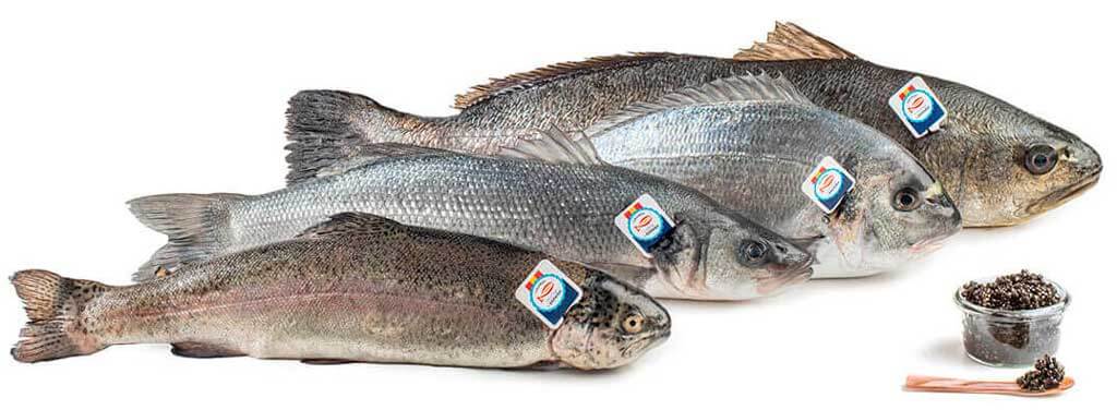 Si ves una de estas etiquetas, puedes estar seguro de que se trata de pescado fresco, cultivado en España y con todas las garantías